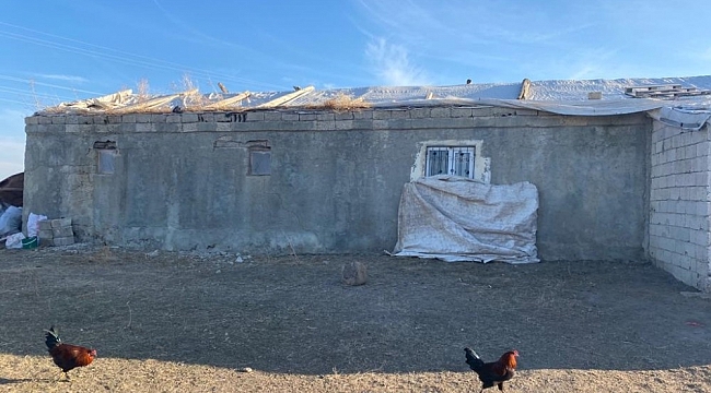 Çobanlık yapan baba, eve dönüştürdüğü ahırda ailesiyle yaşıyor
