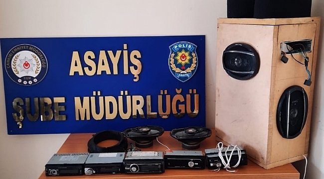 Çocuk yaştaki oto faresi yakalandı