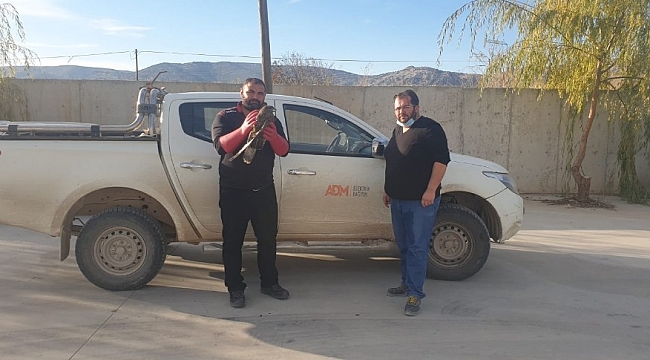 Dikkatli sürücü yaralı şahinin hayatını kurtardı