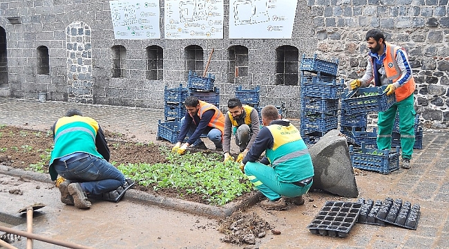 Diyarbakır Büyükşehir Belediyesi, kavşak ve refüjlere 1 milyon 250 bin çiçek dikecek
