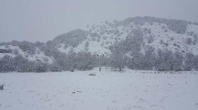 Doğu Anadolu'da kar yağışı