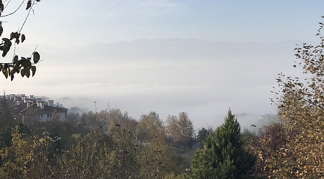 Düzce sis denizine döndü