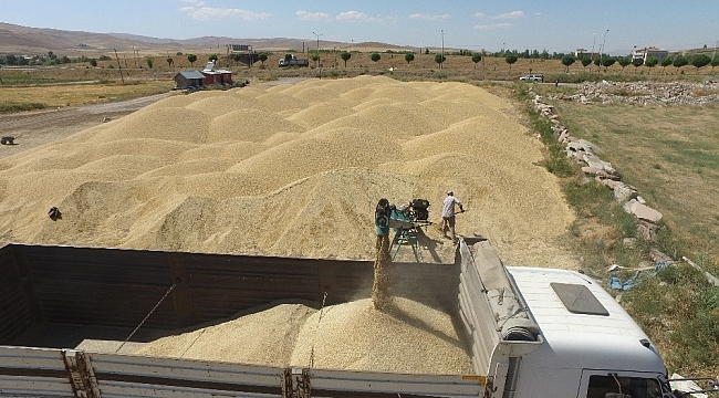 Erzincan, Erzurum ve Ağrı'da sulama sezonu tamamlandı