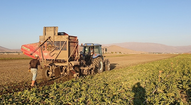 Erzurum, Erzincan ve Ağrı'da sulama sezonu tamamlandı