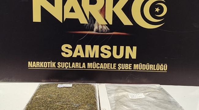 Evinde bonzai ele geçen şahıs gözaltına alındı