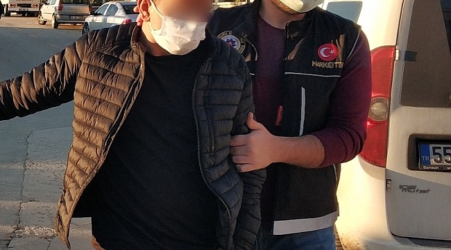 Evinde bonzai ele geçen şahıs tutuklandı