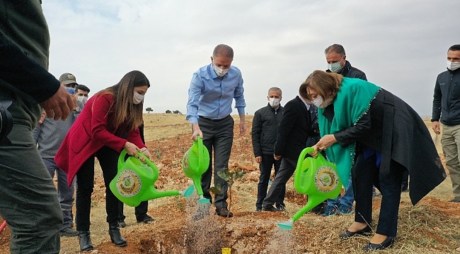 Gelir getirici 700 bin fidan Oğuzeli'nde toprakla buluştu
