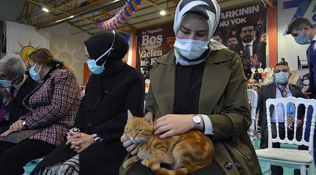 Genç Vekil'den korona reçetesi