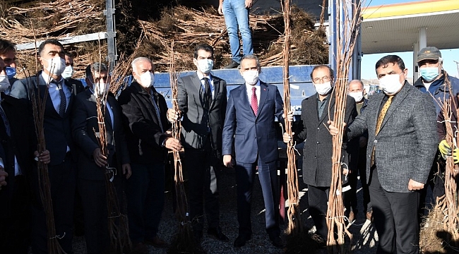 Gölbaşı'nda çiftçilere hurma fidanı