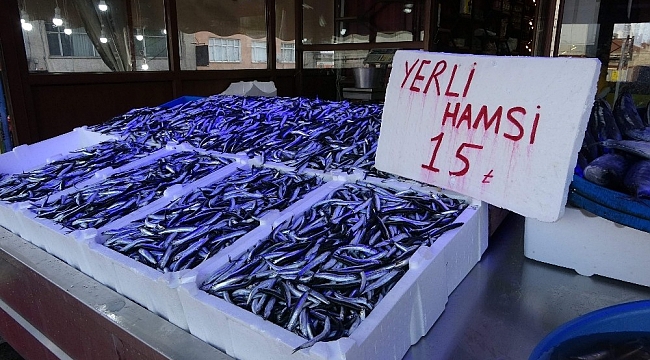 Hamsinin fiyatı hergün değişiyor