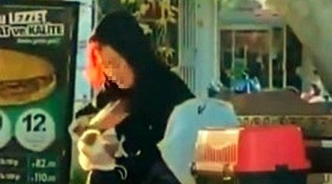 Hamster'e tokat ve ısırık cezasız kalmadı