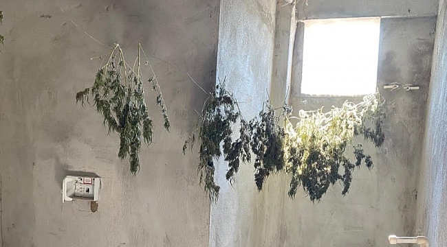 Hatay'da uyuşturucu operasyonu