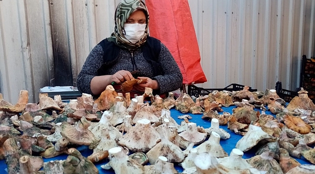 Havalar kurak gidince mantar fiyatları yüzde 100 zamlandı