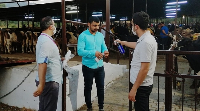 Hayvan Pazarları hafta sonu açık olacak