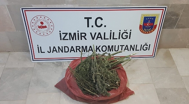 İzmir'de uyuşturucu operasyonu: 2 gözaltı