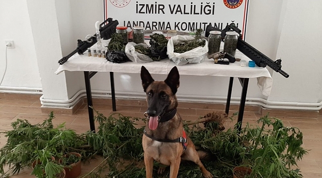 İzmir'de uyuşturucu operasyonu: 21 şüpheli gözaltında