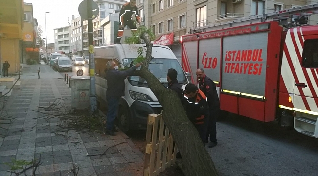 Kamyonun çarparak devirdiği ağaç başka bir araca zarar verdi