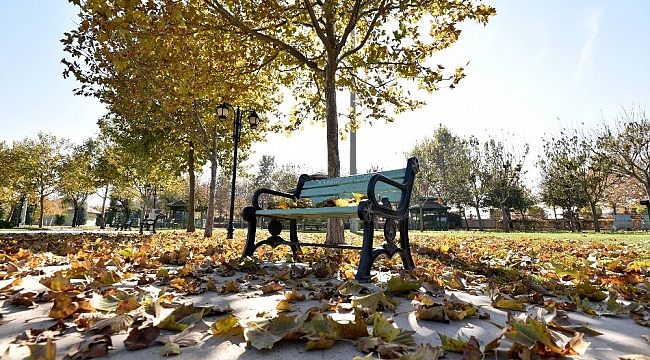 Karatay'da sonbahar güzelliği