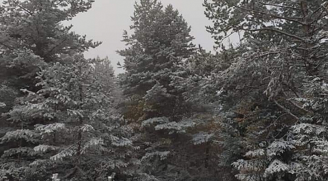 Kastamonu'da sahil bölgesinde kar yağışı etkili oluyor