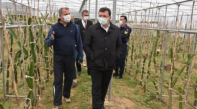 Kaymakam Şahin, 'Efeler Diyarında Pitaya' Projesi kapsamında üreticilerle bir araya geldi