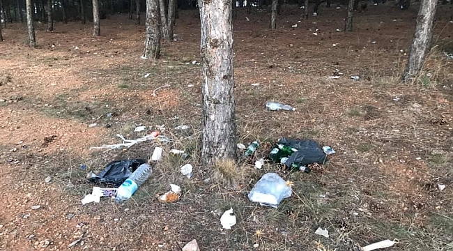 Kent Ormanı pislikten geçilmiyor
