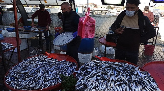 Kilosu 10 TL'ye kadar düşen hamsi fiyatı ile vatandaşın yüzünü güldürdü