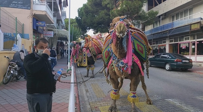 Kış aylarının gelmesiyle birlikte devler soğuktan korunmak için havutlandı
