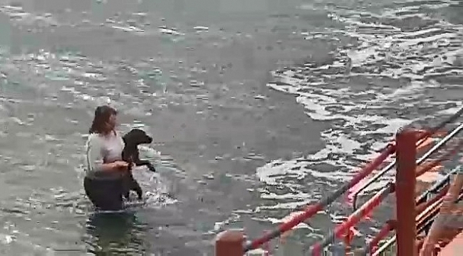 Kıyafetleri ile denize girip köpeği boğulmaktan kurtaran veteriner hekim konuştu: