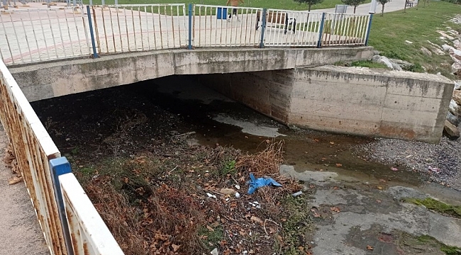 Kocaeli'de sahilde erkek cesedi bulundu