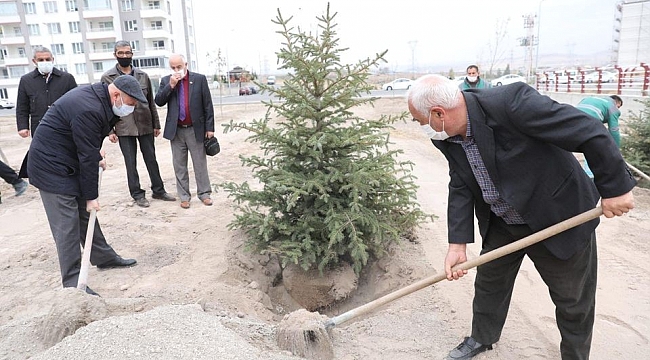 Kocasinan mesaiye ağaç dikerek başladı