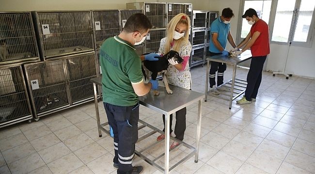 Konak'ta soğuk kış günlerinde hayvanların mağdur olmaması için hazırlıklar tamam