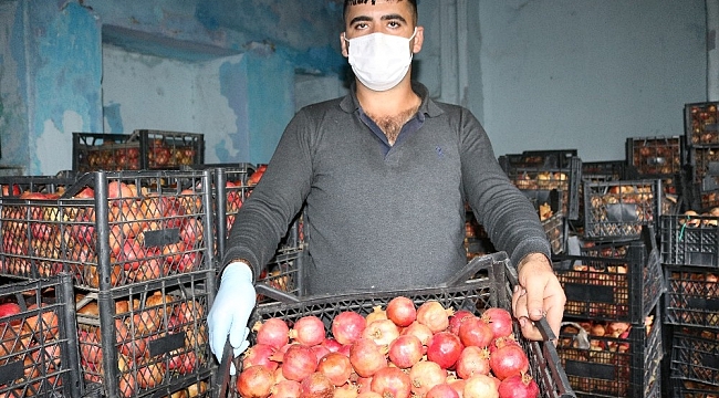 Korona virüs süresince Zivzik narına talep arttı