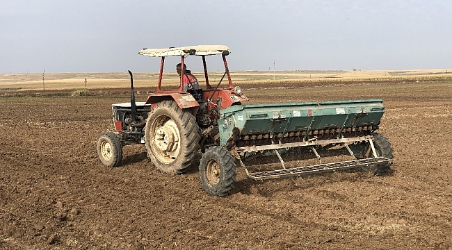 Mardin Ovasında buğday ekimi başladı