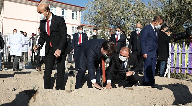 Öğretmen vali, okullarda öğretmenlerin gününü kutlayarak lavanta dikti