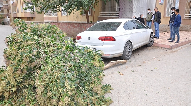 Otomobilin altında kalmaktan son anda kurtuldular