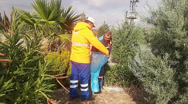 Parklar ve refüjlerde kış bakımı sürüyor