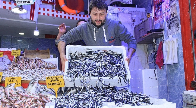 Samsun'da hamsi 10 TL'ye düştü, tezgahlar şenlendi