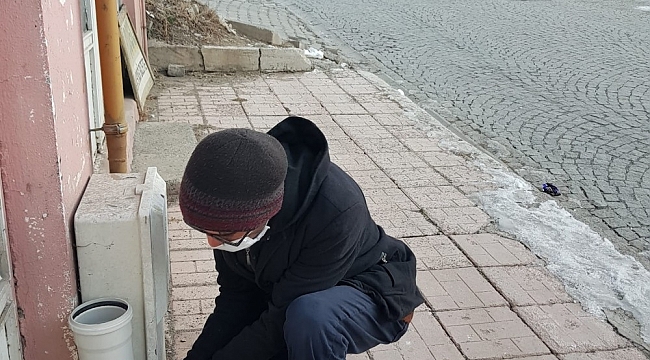 Sarıkamış'ta Sokak Hayvanlarına İlgi