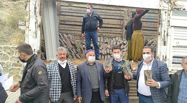 Sason'da çiftçilere 5 bin fıstık fidanı dağıtıldı