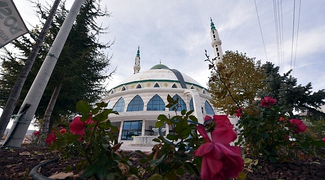 Selçuklu'da cami avluları yeşile bürünüyor