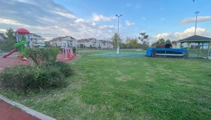 Serdivan'da sonbahar temizliği