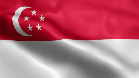 Singapur, Fransa karşıtı paylaşım yapan 16 işçiyi sınır dışı etti