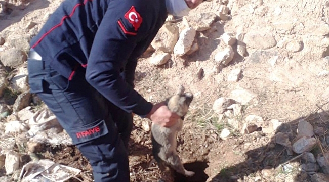 Su kuyusuna düşen köpek, itfaiye ekiplerince kurtarıldı