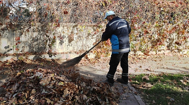 Talas'ta sonbahar temizliği
