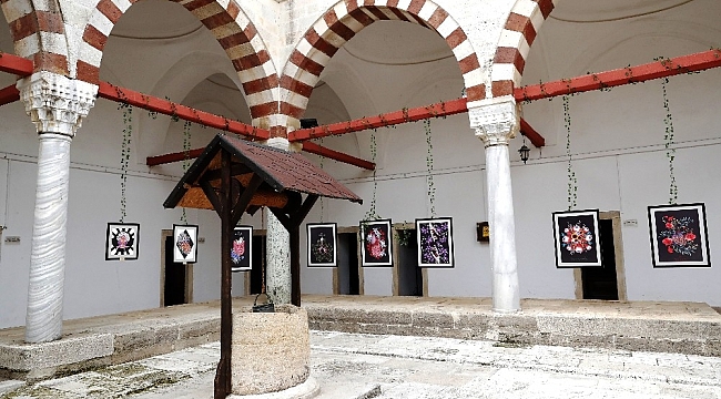 Tıp ile güzel sanatlar "plantomy" sergisinde buluştu