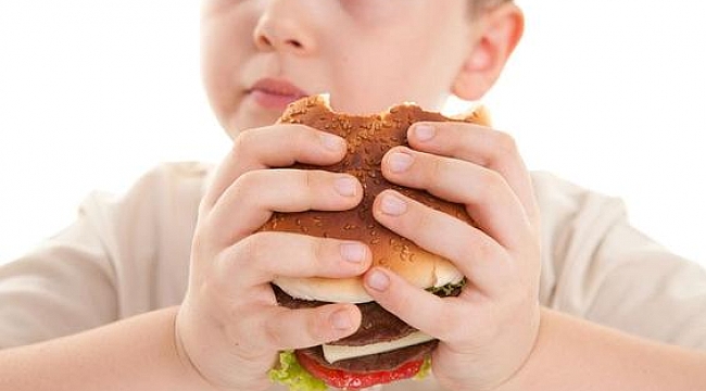 Türkiye'de 20 milyon çocuk ve genç obezite ile karşı karşıya