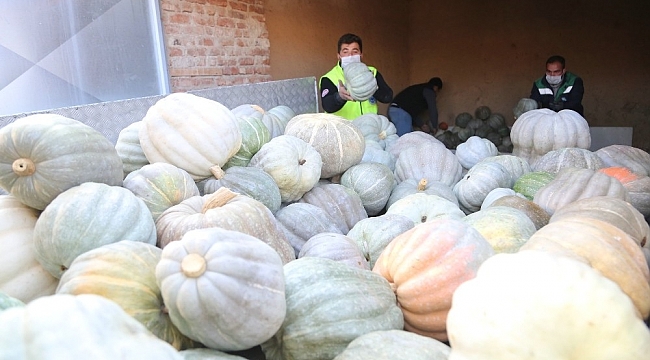 Ürettiği 3 ton bal kabağını ihtiyaç sahipleri için bağışladı