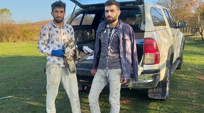 Yaralı halde bulduğu doğan kuşunun bir an olsun yanından ayrılmadı