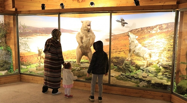 Yenice ormanlarının yaban hayatını müzede keşfediyorlar