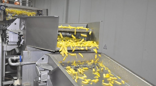 Yıllık 25 bin ton patates işliyorlar